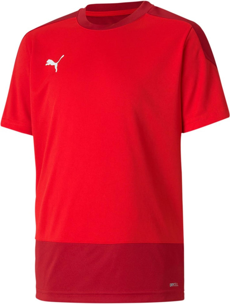 teamGOAL 23 Training Jersey Puma Red-Chi