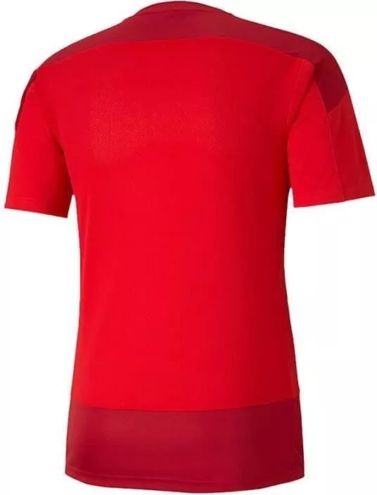 teamGOAL 23 Training Jersey Puma Red-Chi