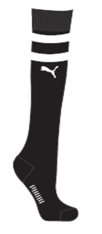 Ladies Single Graphic Anklet Sock Puma B